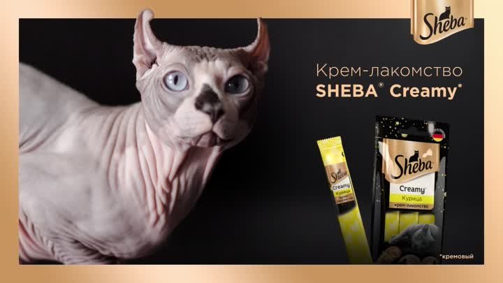 Sheba