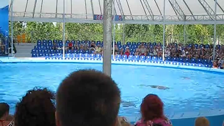 Скадовский дельфинарий 2