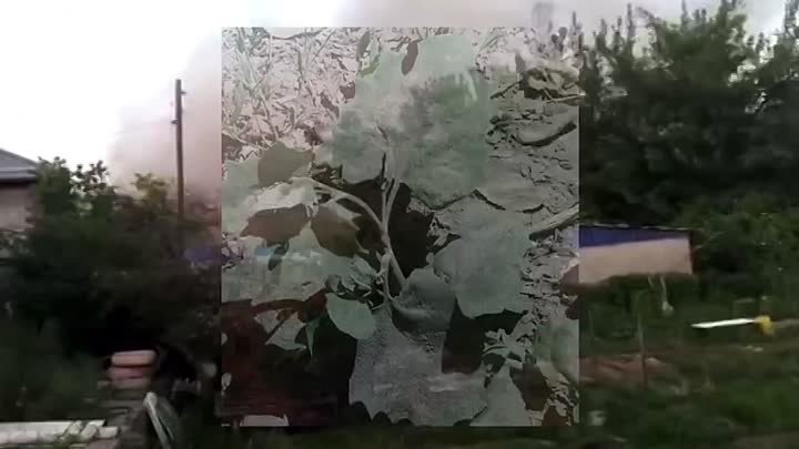 Шокирующее видео взрыва на цементном заводе в Алматы