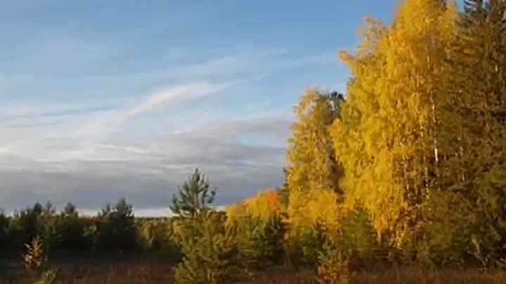 "Я русская душой" Песня Маргариты Карловской на стихи Свет ...