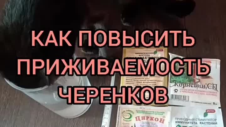 На заметку садоводам любителям. Подпишись на нашу группу и ты узнаеш ...