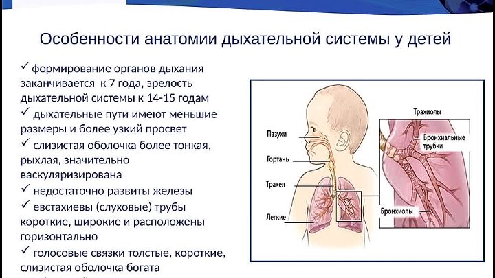 Дыхание при сильном кашле