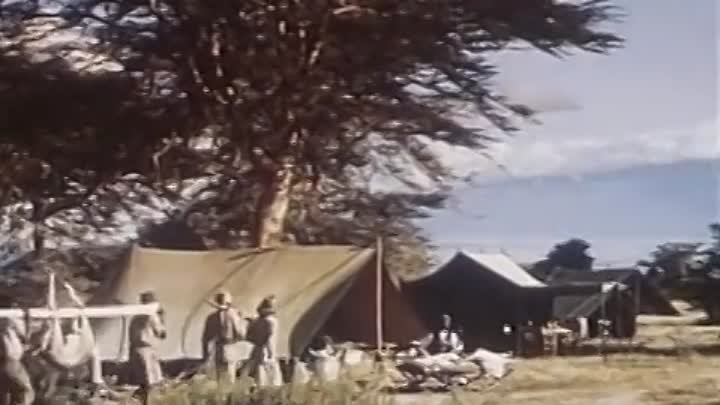 A Kilimandzsáró hava (1952) - teljes film magyarul (360p_25fps_H264-128kbit_AAC)