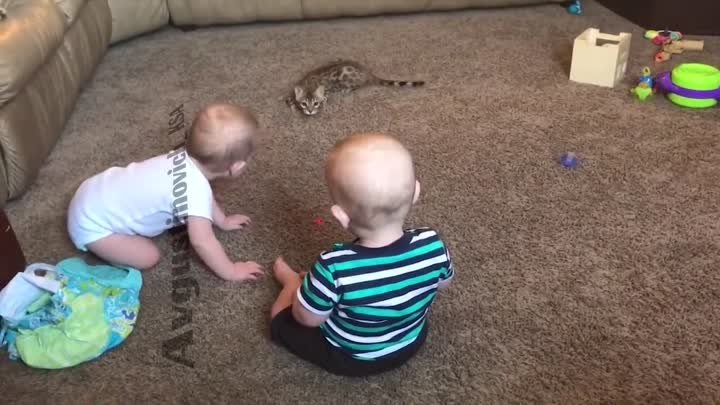 Funniest Baby And Cat - Funny Baby and Pets Moments