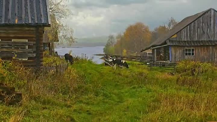 В моем стареньком доме тихо