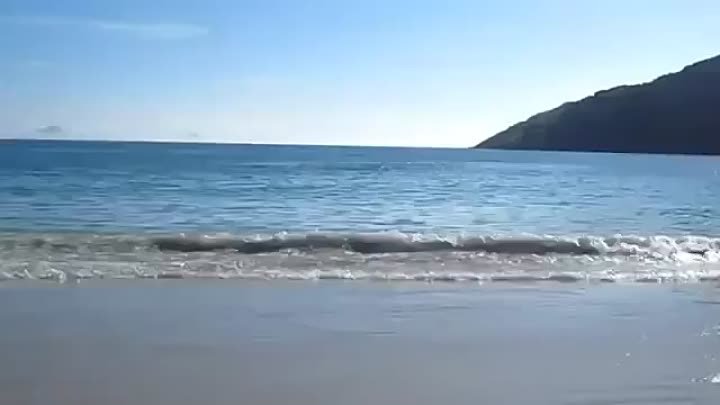 Он просто снимал море и пляж, как вдруг