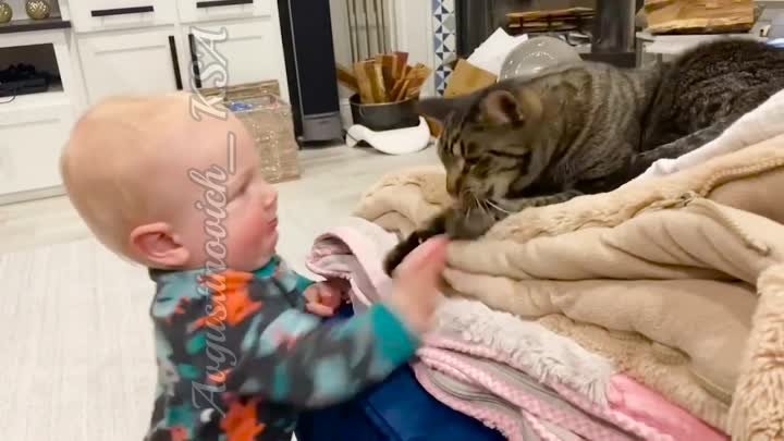 Cute Babies 👶 and Cats 😹 Are Best Friend - Funny Cat Videos