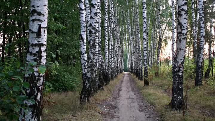 День деревни