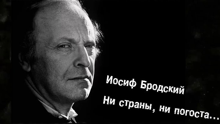 Ни страны ни погоста тема. Ни страны ни погоста не. Бродский ни страны ни погоста не хочу выбирать. Бродский ни страны ни по ГОСТЫ. Ни страны ни погоста Бродский текст.