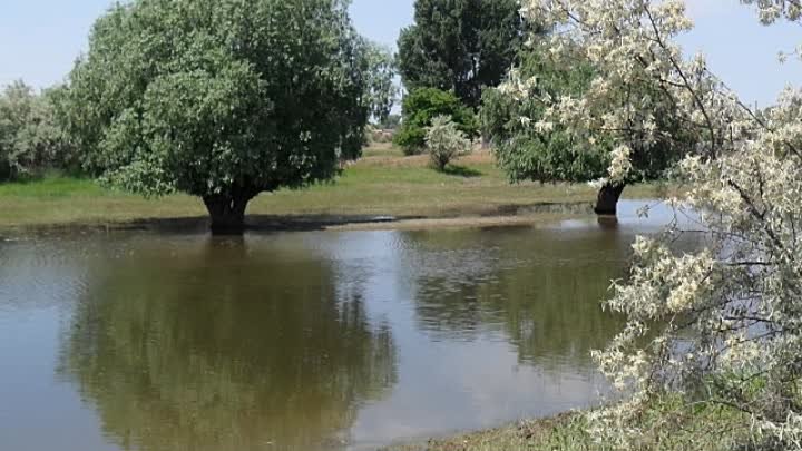 Гимн Астраханскому краю