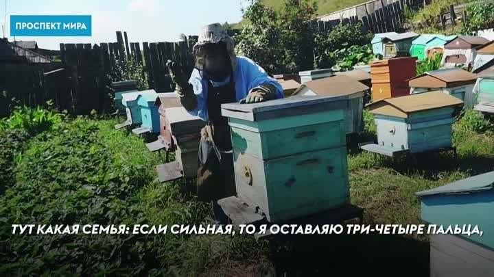 17 Старейший пчеловод Красноярского края. 90-летний пасечник поделился секретом дол
