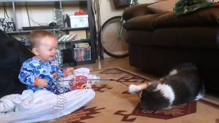 Baby and Cat Fun and Cute - Funny Baby Videos