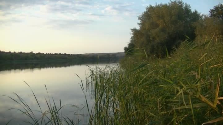 Один прекрасный день на даче. х. Муравлёв