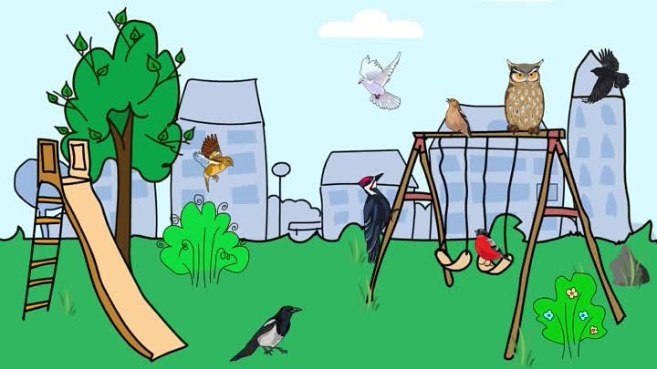 Мультфильм про птиц. Развивающие мультики для детей до 4-х лет