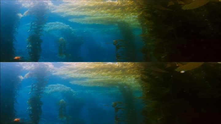 Test 3D =Into the Deep= FULL HD Over Under
