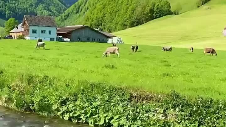 Аппенцелль, Швейцария 