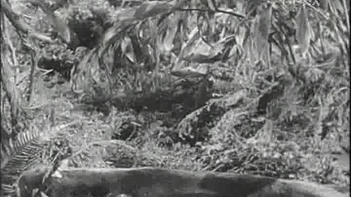 Robert Florey - Tarzan és a sellők (1948) Tarzan and the Mermaids