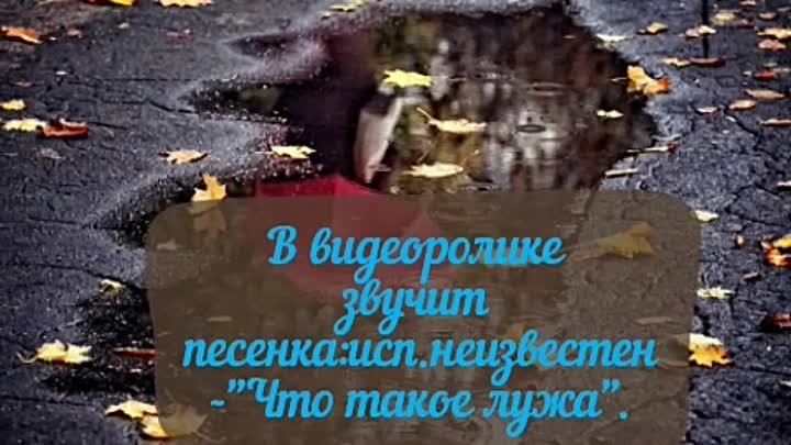 Лужа.Странник_Северный.mp4