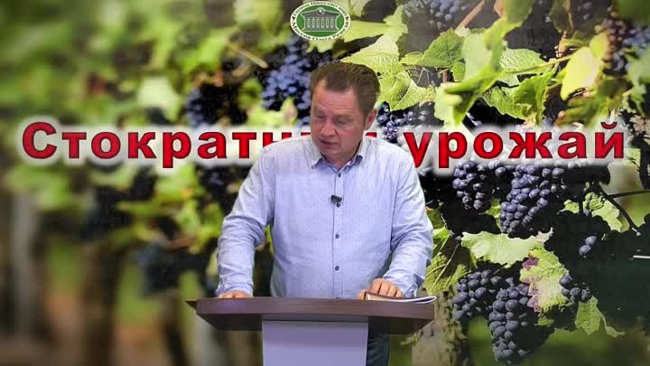 Олег Ремез 3 урок Стократный урожай