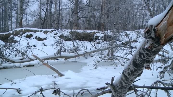 НЕ ЗРЯ ПРОБИВАЛИСЬ!!!не первый лед.рыбалка с ночевкой. ВИБ В КОРЯГАХ.