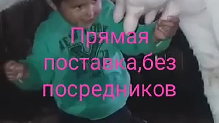 video_1938223467029.mp4