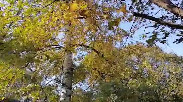 Якутская осень