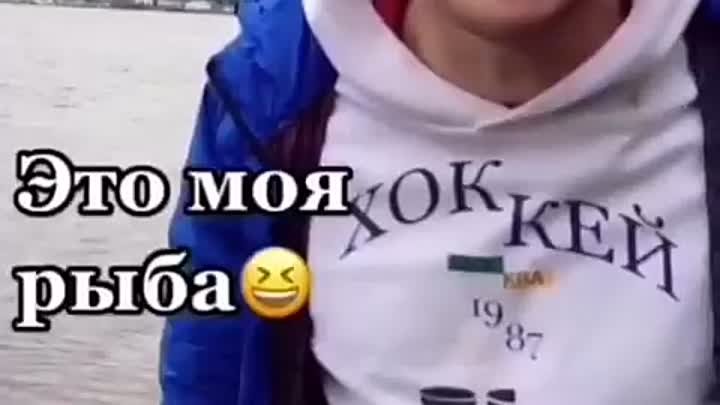 "Это моя рыба" досмотрите до конца