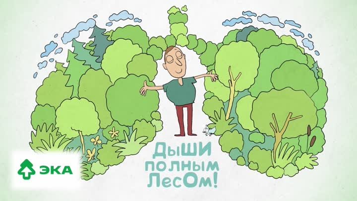 Дыши полным лесом