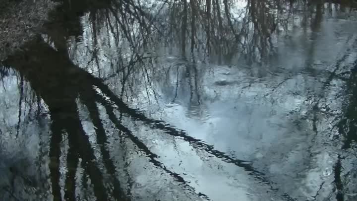 Времена года Родные пейзажи