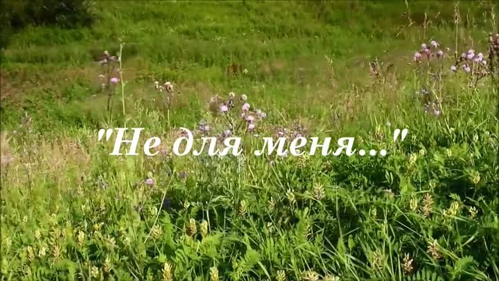 Памяти Г.С. Луценко 05.12.2021г.