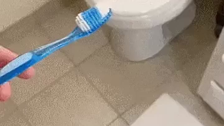 Тюбик для зубной пасты