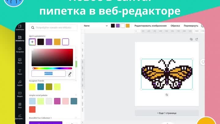 Новое в Canva пипетка в редакторе