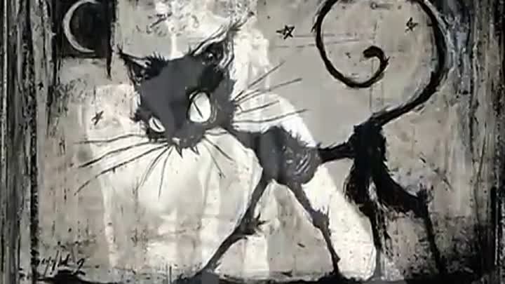 Кошачьи Байки - Чёрный Кот