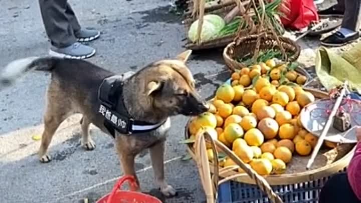 Она хотела именно эту апельсинку