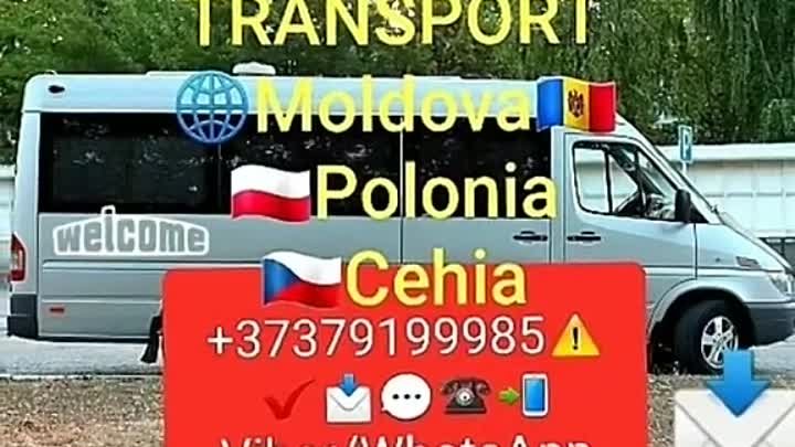 ☑️ZILNIC AVEM PLECĂRI SPRE EUROPA🌐
📞(+37379199985)Viber/WhatsApp💬 ...