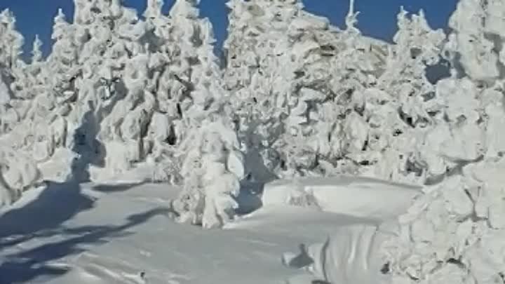 Видео Александра Ефименко