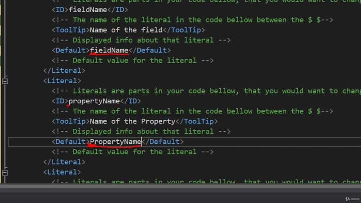 006 Fully Implemented Property Snippet - Example