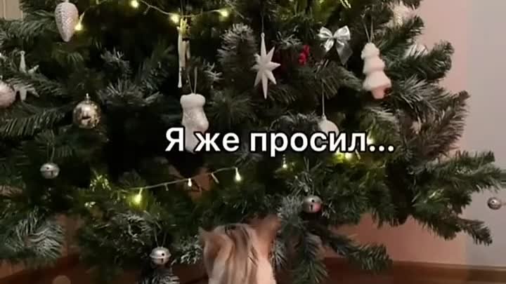 Главный контроллер нового года