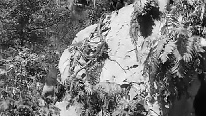 The Jungle Princess (1936) Dorothy Lamour, Ray Milland, Akim Tamiroff