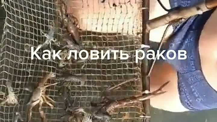 Как ловят раков