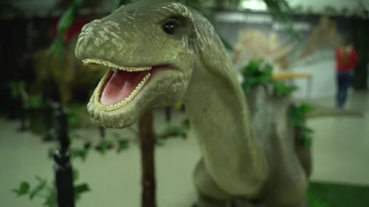 Выставка динозавров в вашем городе!