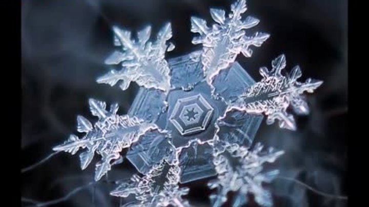 Снежинки под микроскопом уникальные фото