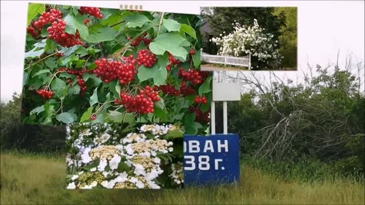 Выпуск 1972 г. школа №1  Кулунда, Алтайского края с ЮБИЛЕЕМ - 50 лет