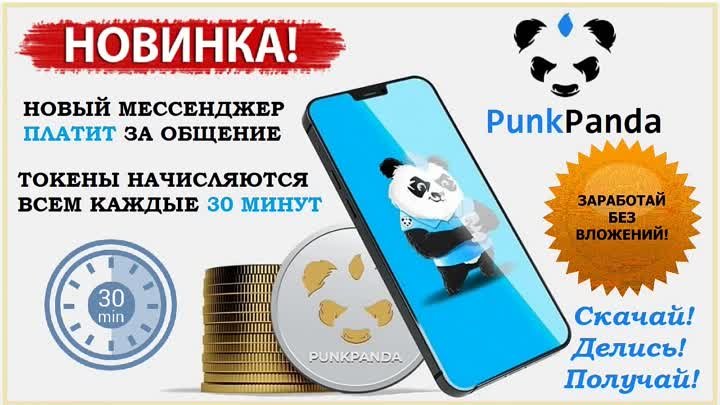 Punk Panda за что платит