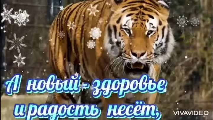 Год Тигра к нам приходит