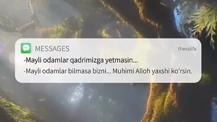 Muhimi Alloh yaxshi ko'rsin