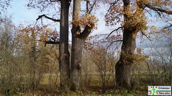 Russia. Leningrad region. Slantsy (720p) (via Skyload)