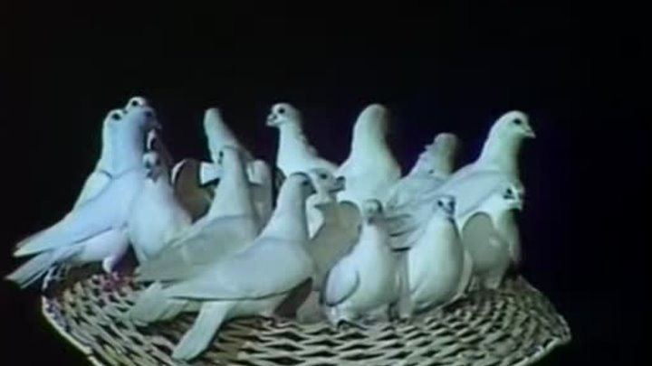 Алла Пугачева - Расскажите птицы