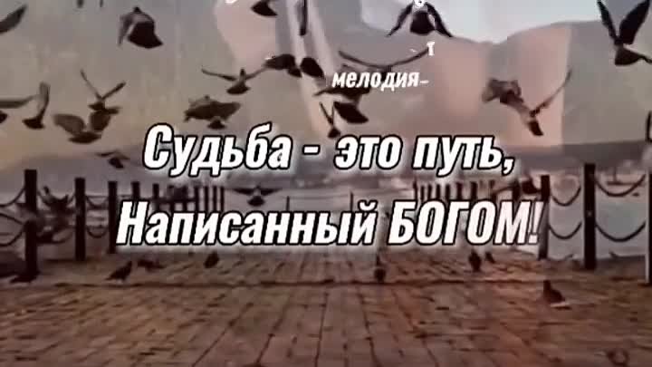 Судьба... 