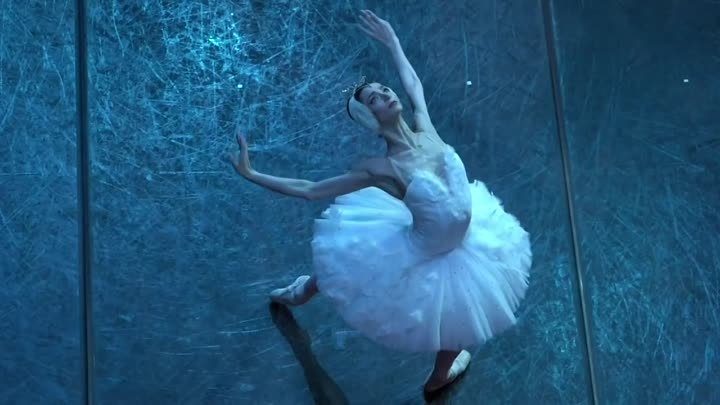 Лебединое озеро_Swan Lake